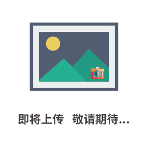 玻璃板液位計(jì)